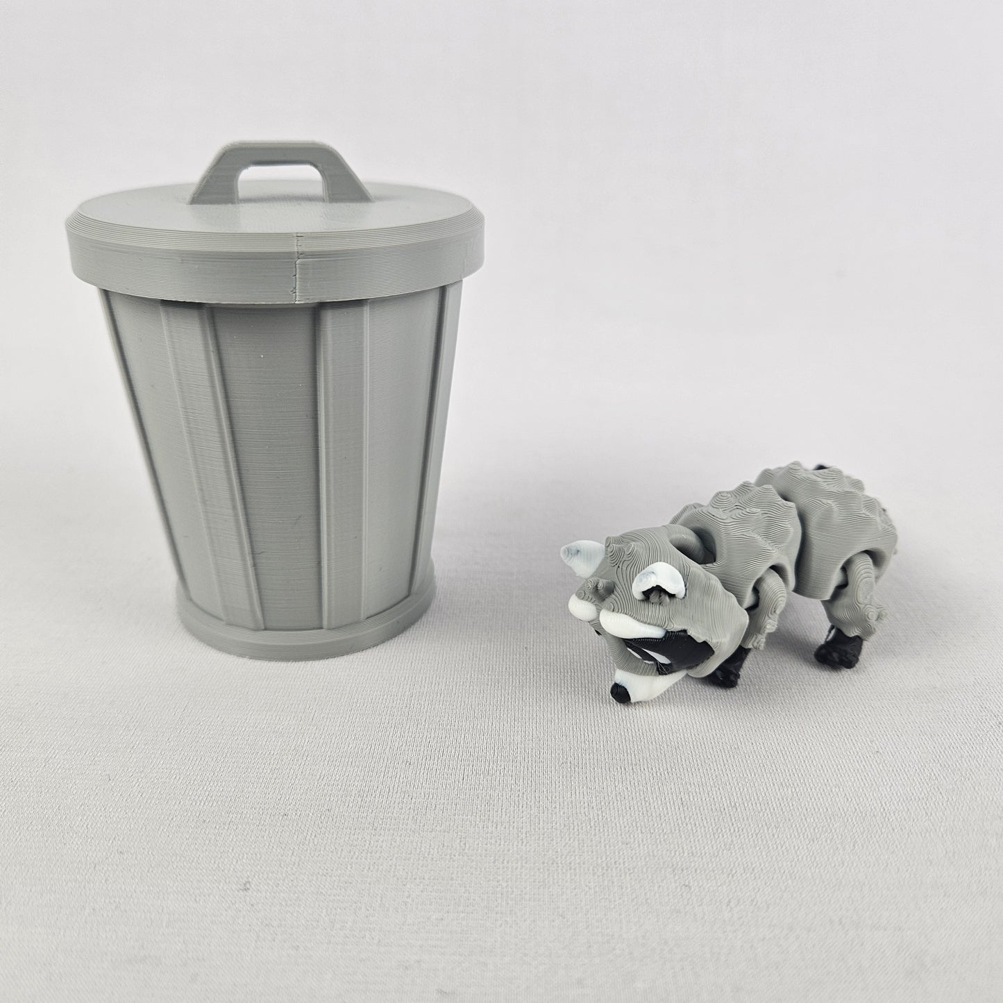 Raccoon aka Trash Panda & Trash Can