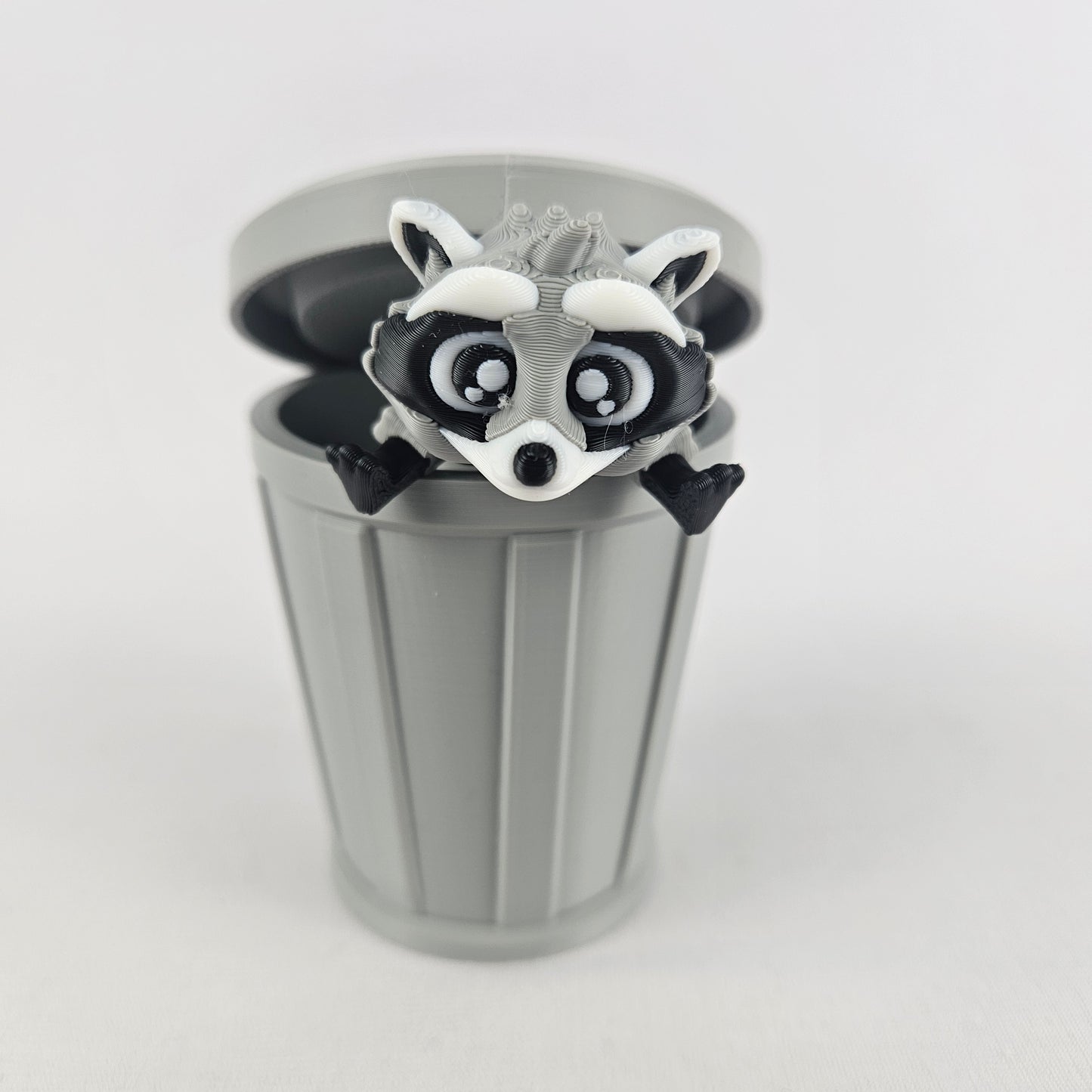 Raccoon aka Trash Panda & Trash Can