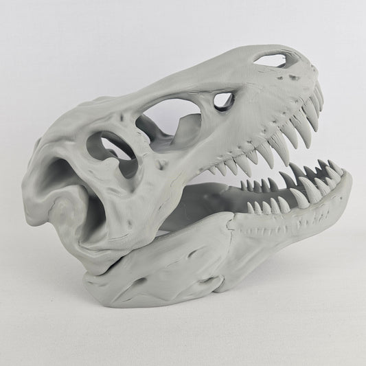 T-Rex Skull